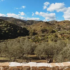 Elements Comares